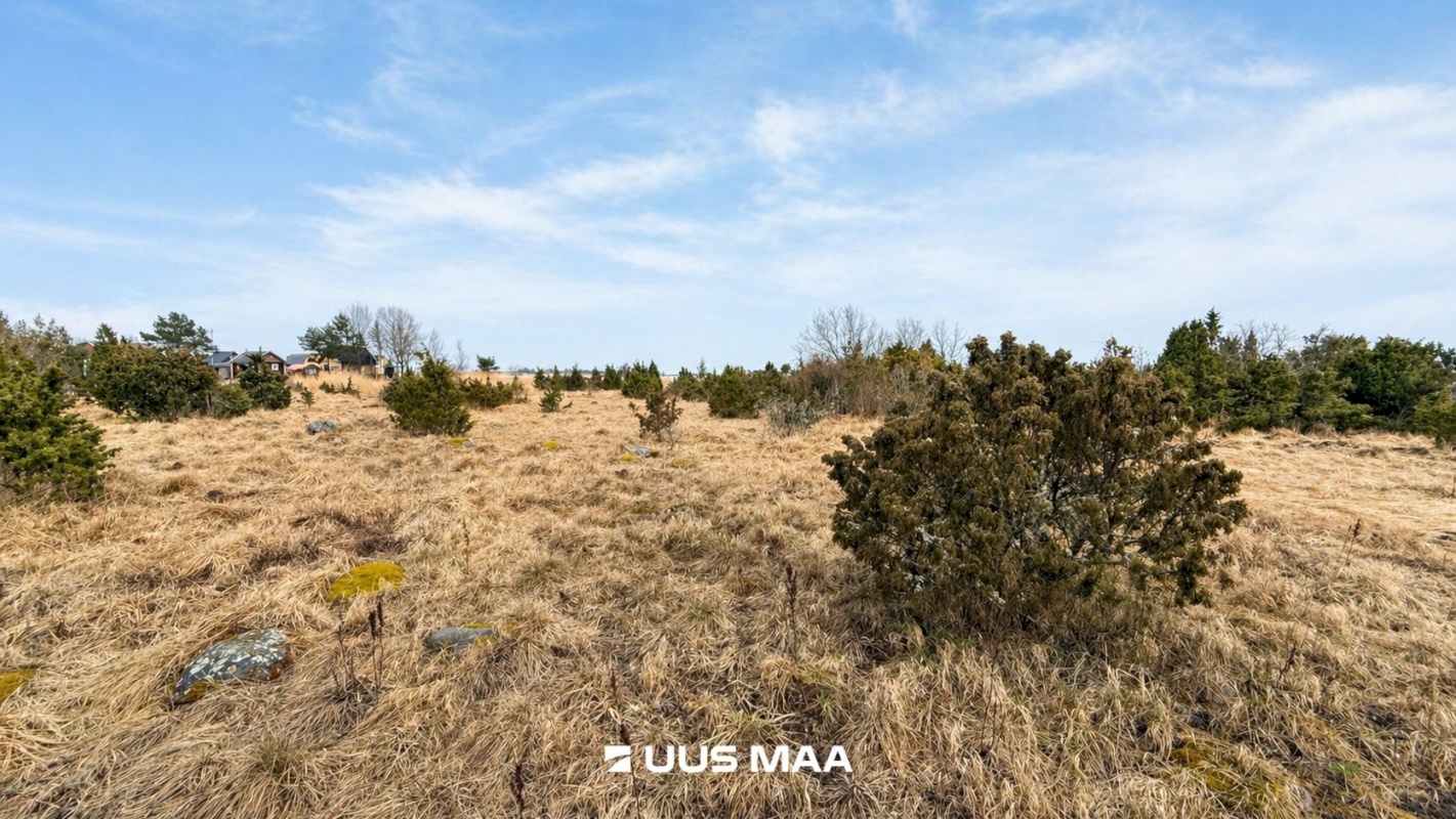 Lääneranna vald, Saulepi küla