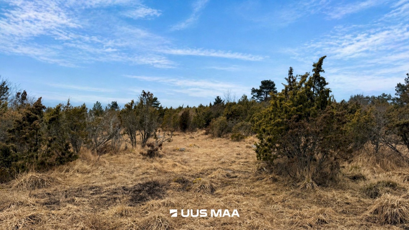 Lääneranna vald, Saulepi küla