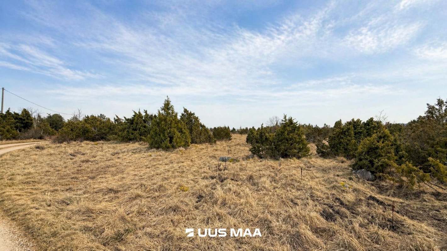 Lääneranna vald, Saulepi küla