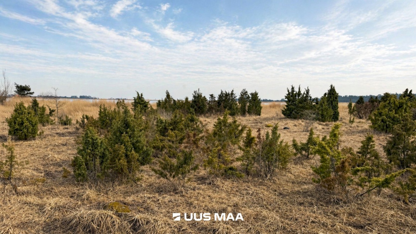 Lääneranna vald, Saulepi küla