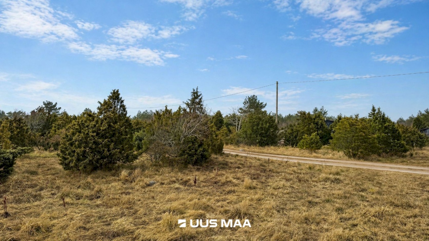 Lääneranna vald, Saulepi küla