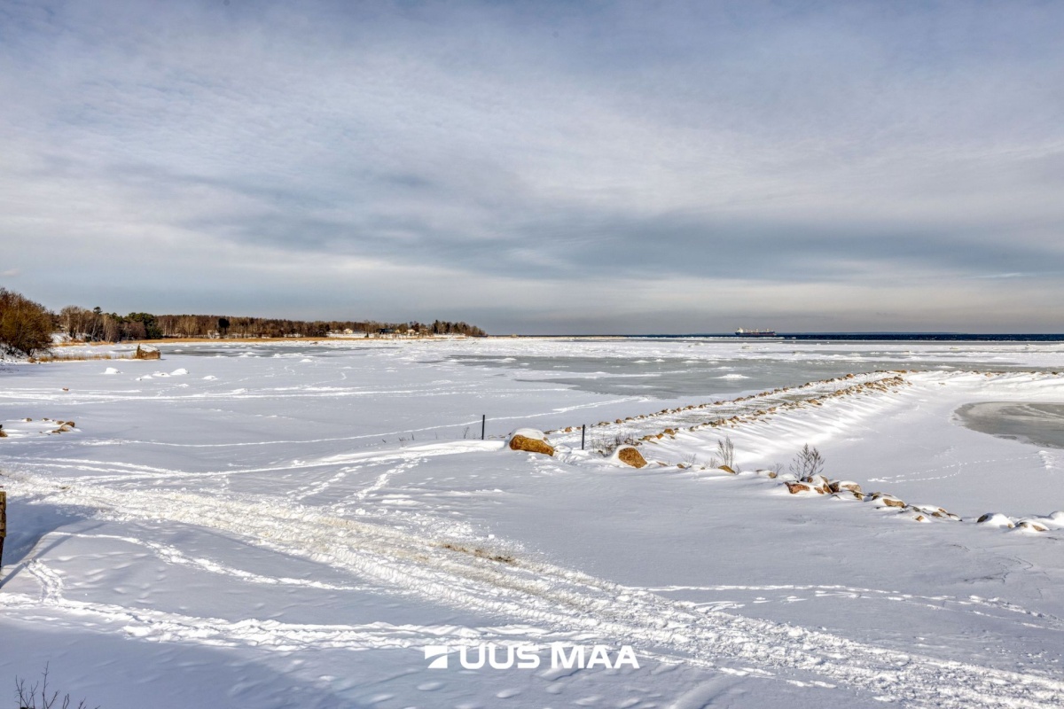 Viimsi vald, Tammneeme küla, Teigari tee 25