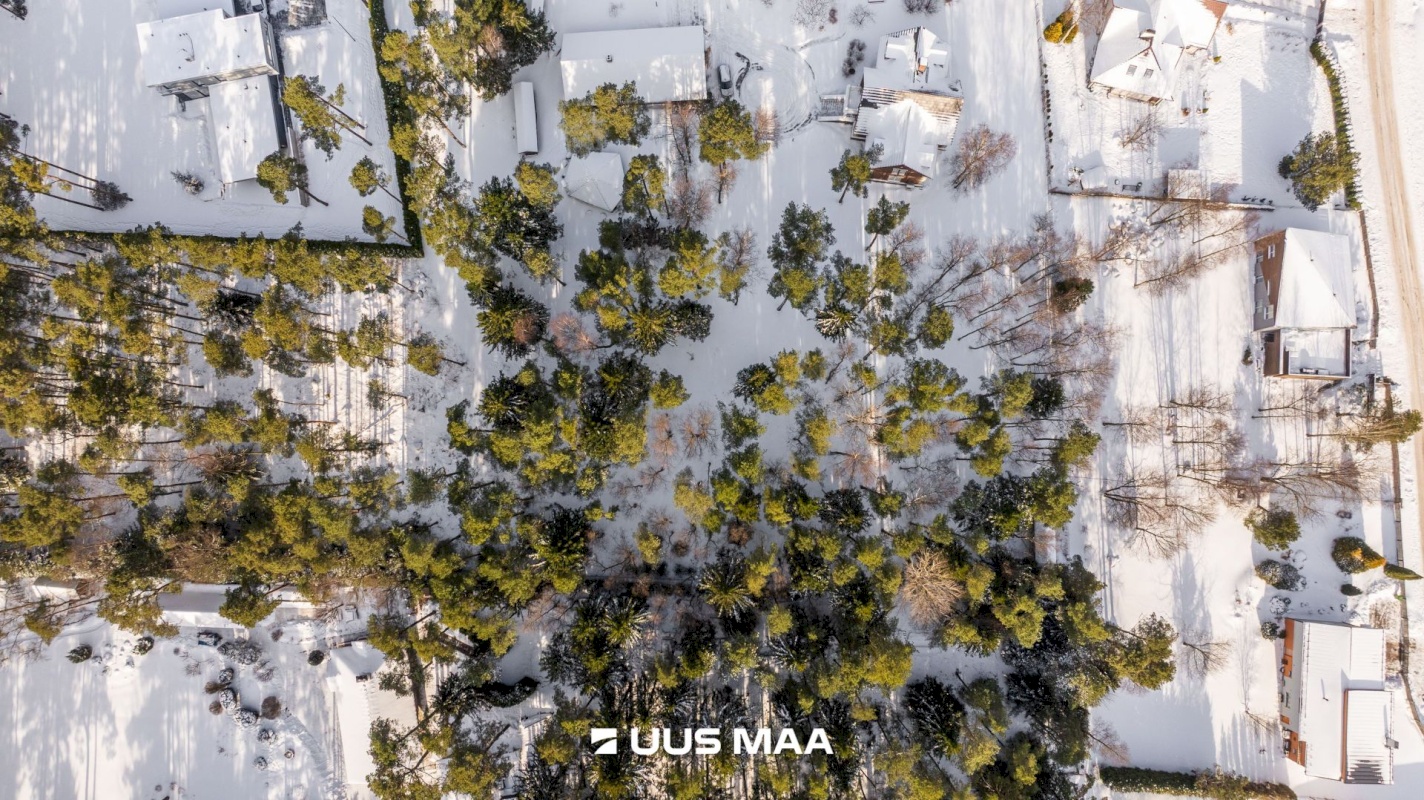 Viimsi vald, Tammneeme küla, Teigari tee 25