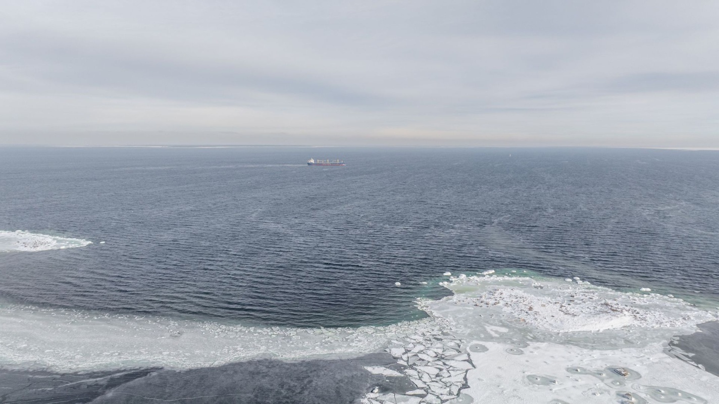 Viimsi vald, Tammneeme küla, Teigari tee 25