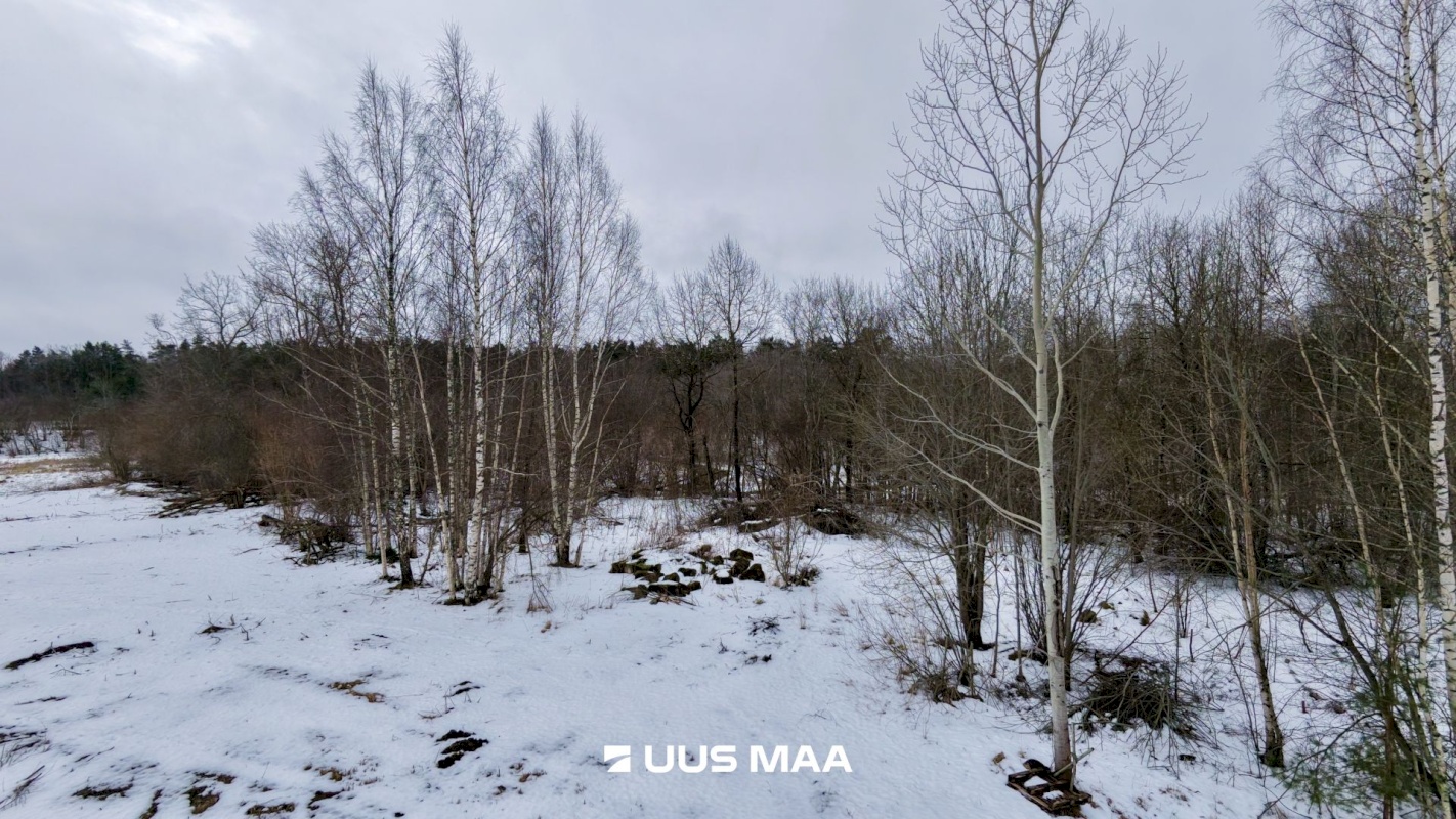 Saue vald, Alliku küla, Uuetalu põik 30