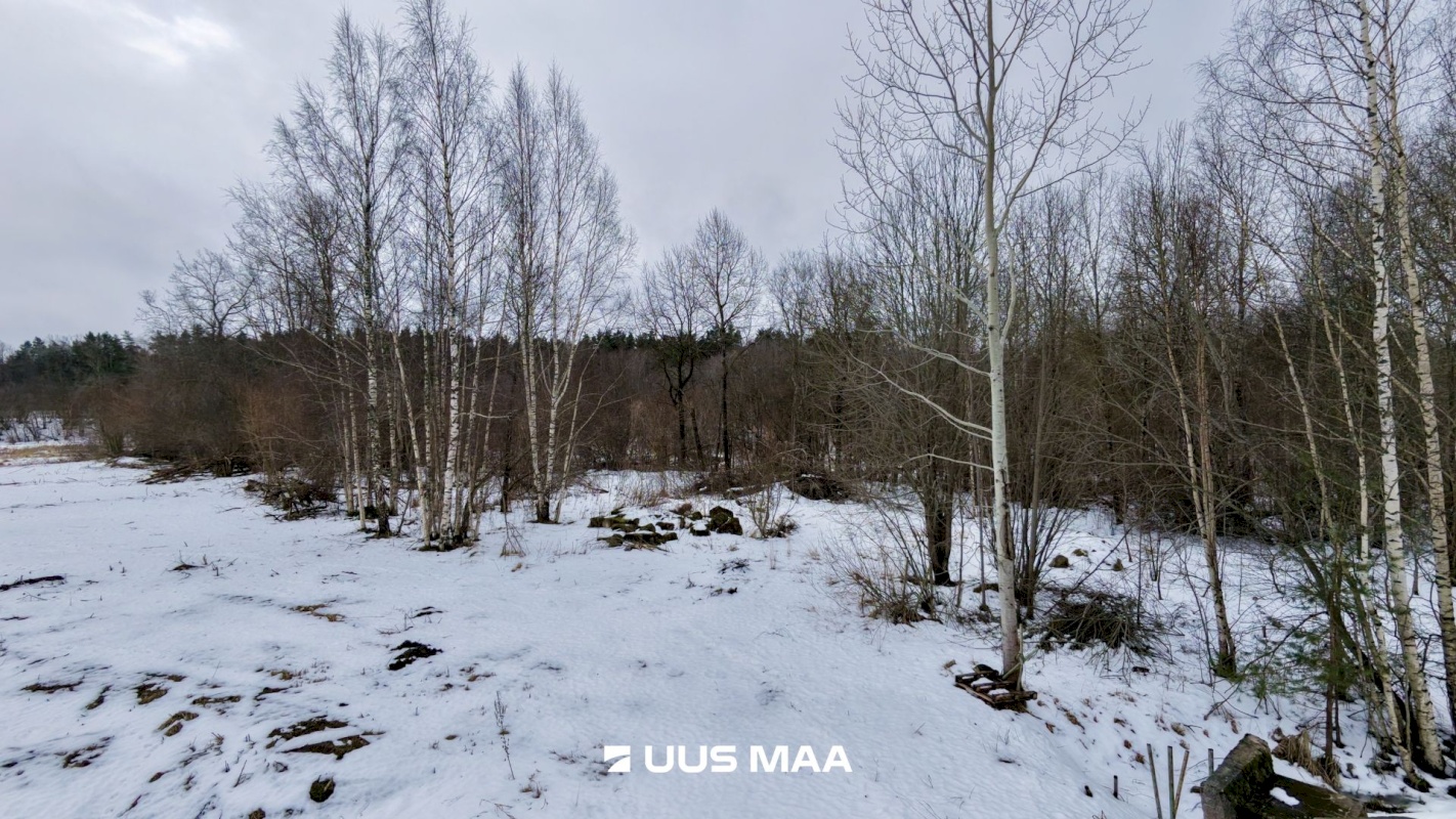 Saue vald, Alliku küla, Uuetalu põik 30