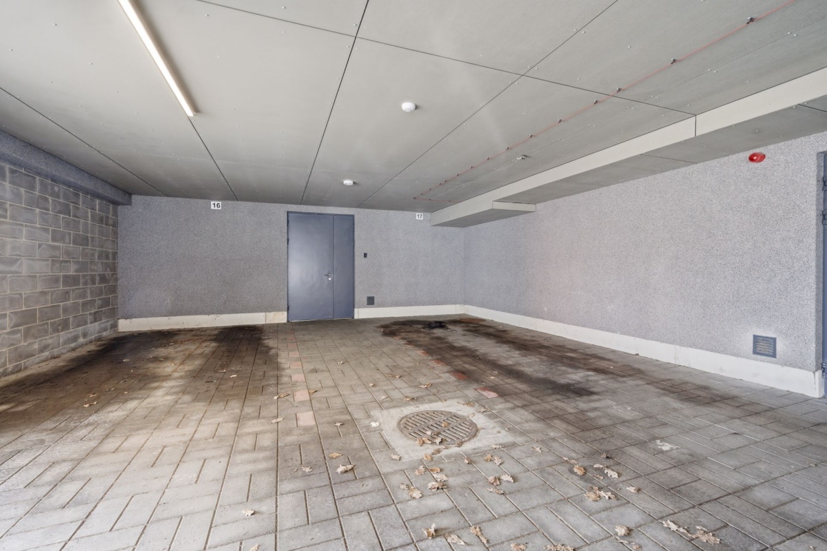 Saku vald, Saku alevik, Juubelitammede tee 15a