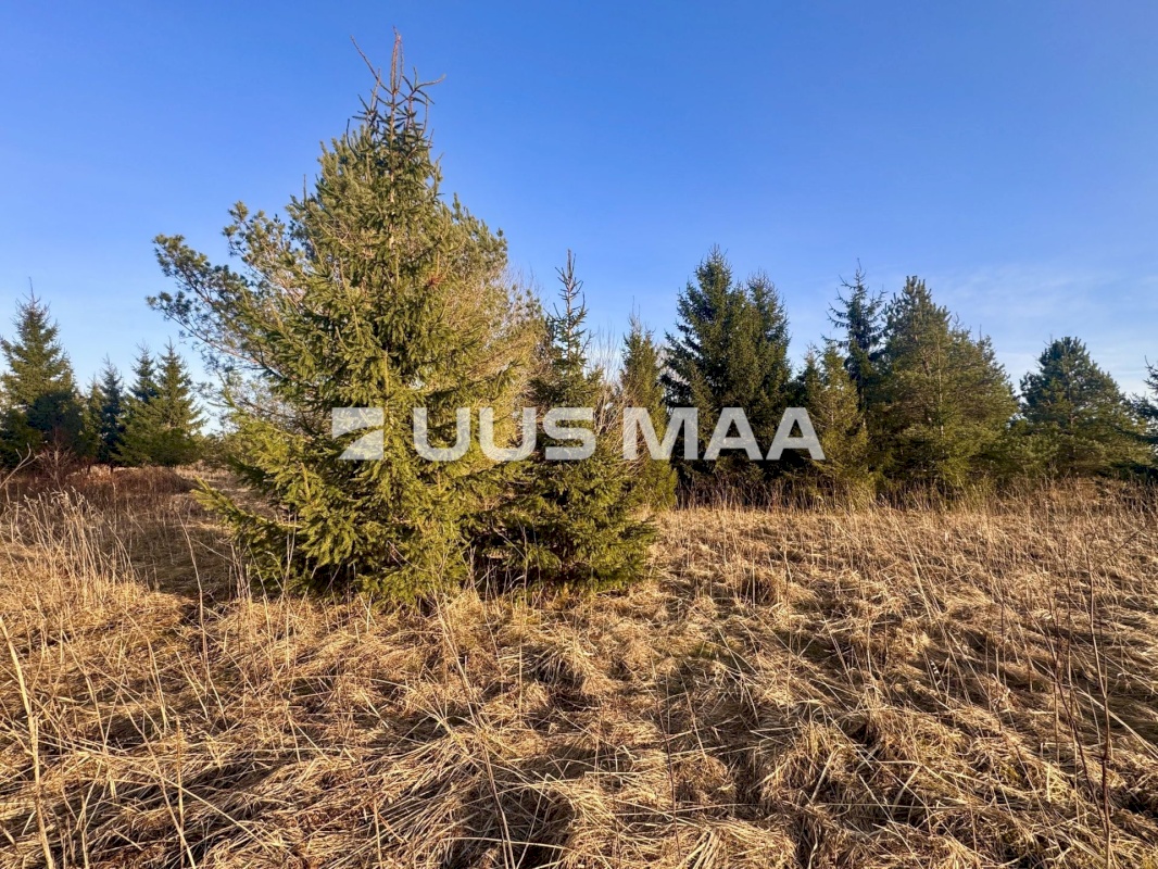 Kohila vald, Mälivere küla