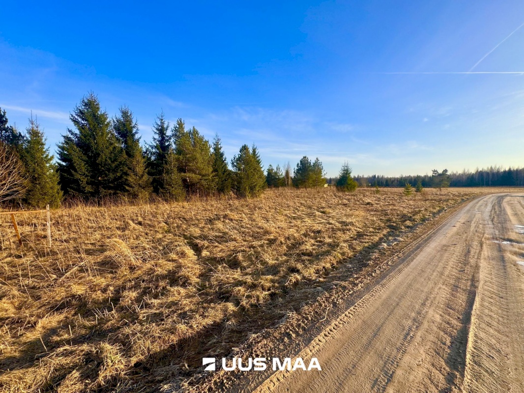 Kohila vald, Mälivere küla