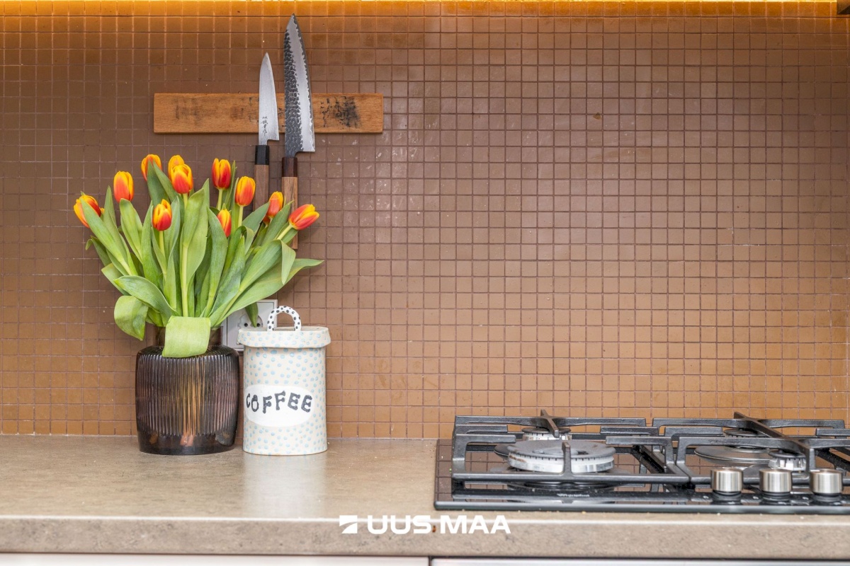 Tallinn, Põhja-Tallinna linnaosa, Põhja pst 11a