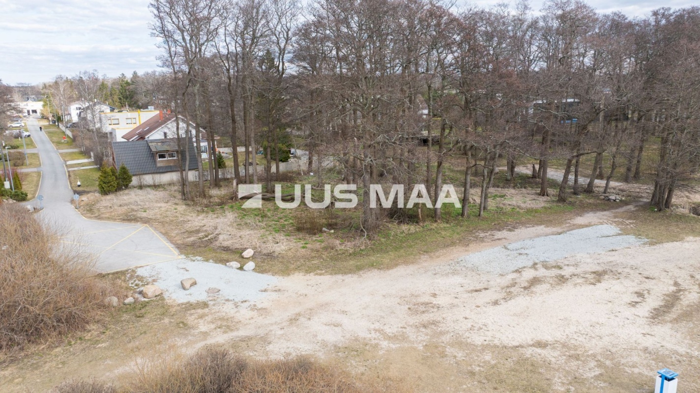 Viimsi vald, Haabneeme alevik, Vahtra tee