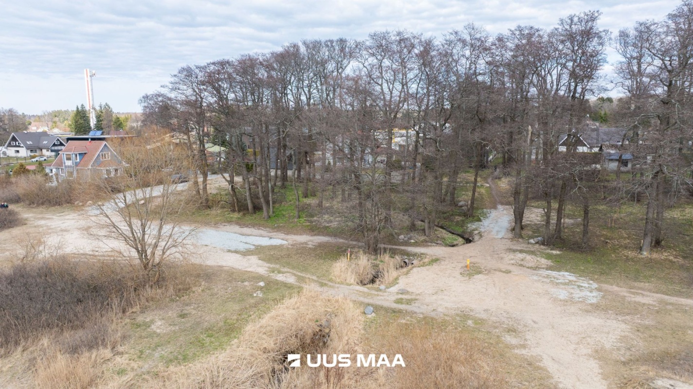 Viimsi vald, Haabneeme alevik, Vahtra tee