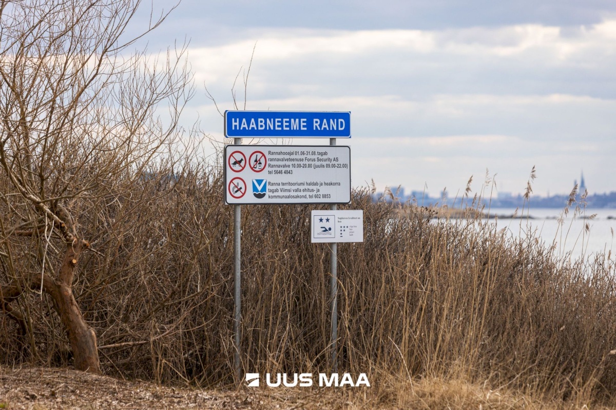 Viimsi vald, Haabneeme alevik, Vahtra tee