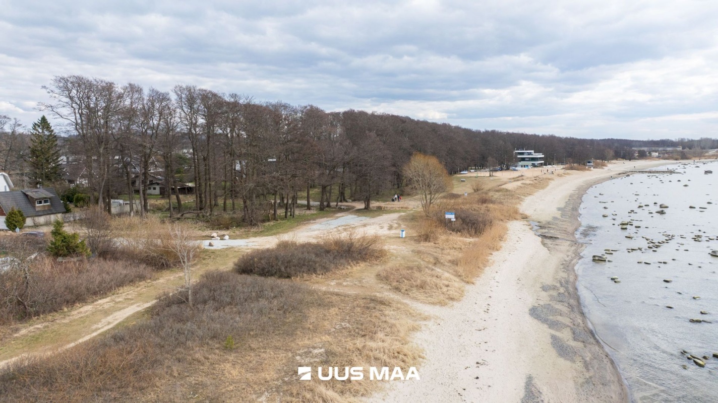 Viimsi vald, Haabneeme alevik, Vahtra tee