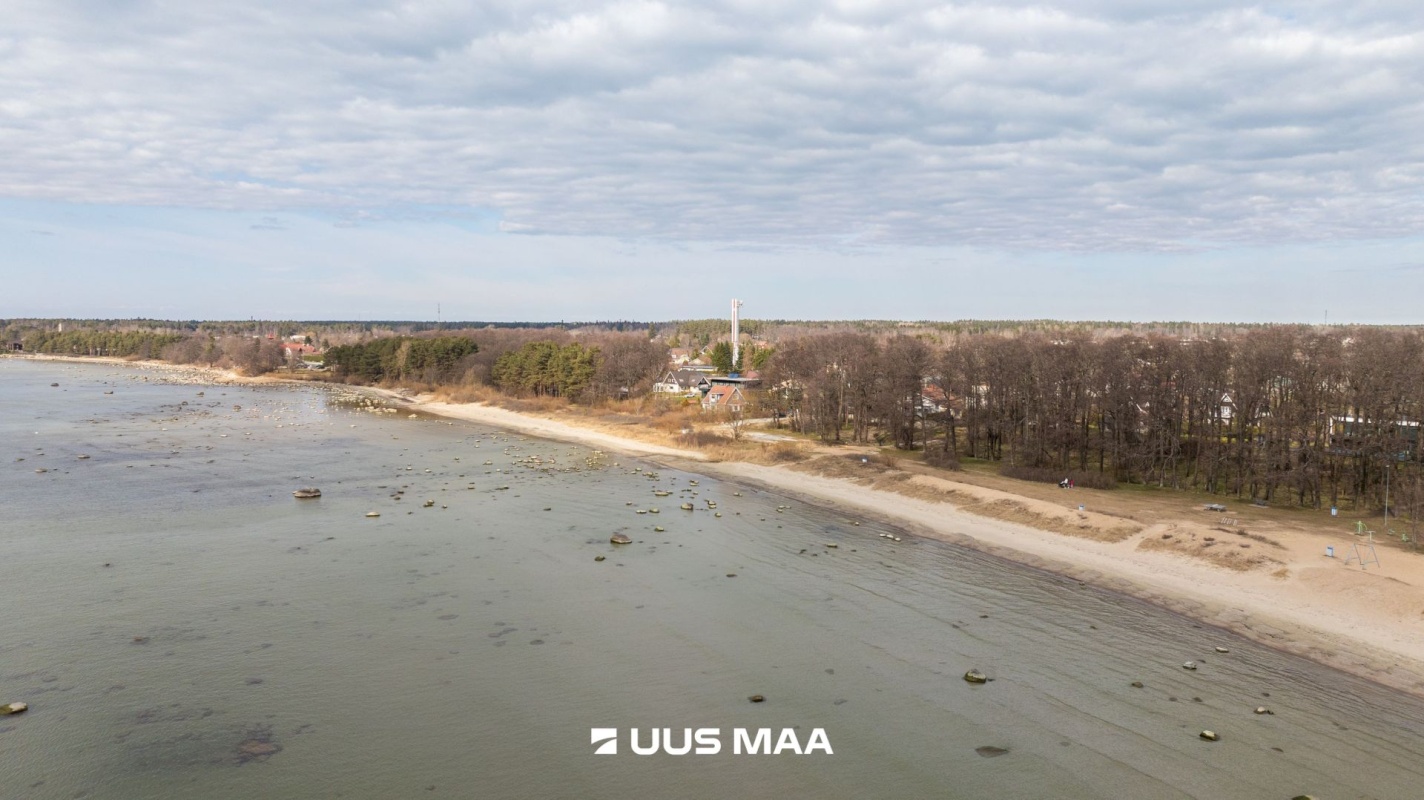 Viimsi vald, Haabneeme alevik, Vahtra tee