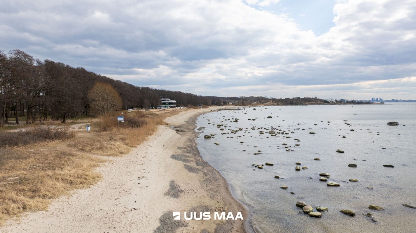 Viimsi vald, Haabneeme alevik, Vahtra tee