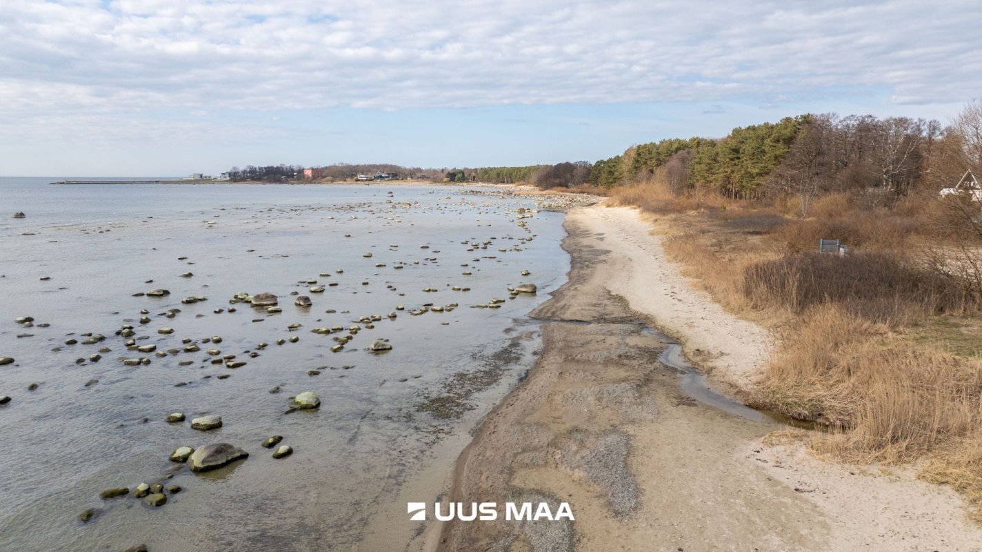 Viimsi vald, Haabneeme alevik, Vahtra tee