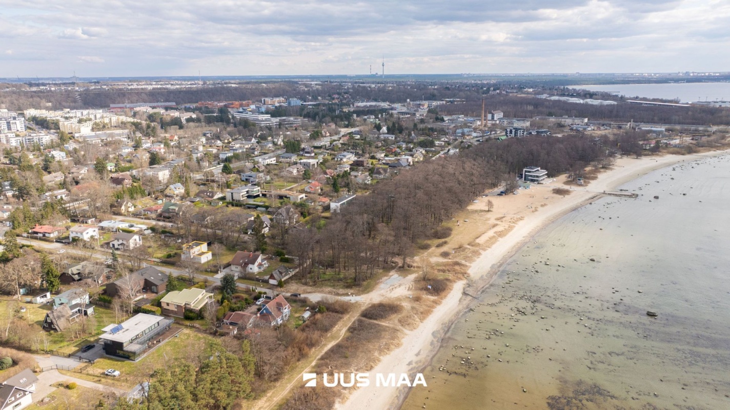 Viimsi vald, Haabneeme alevik, Vahtra tee