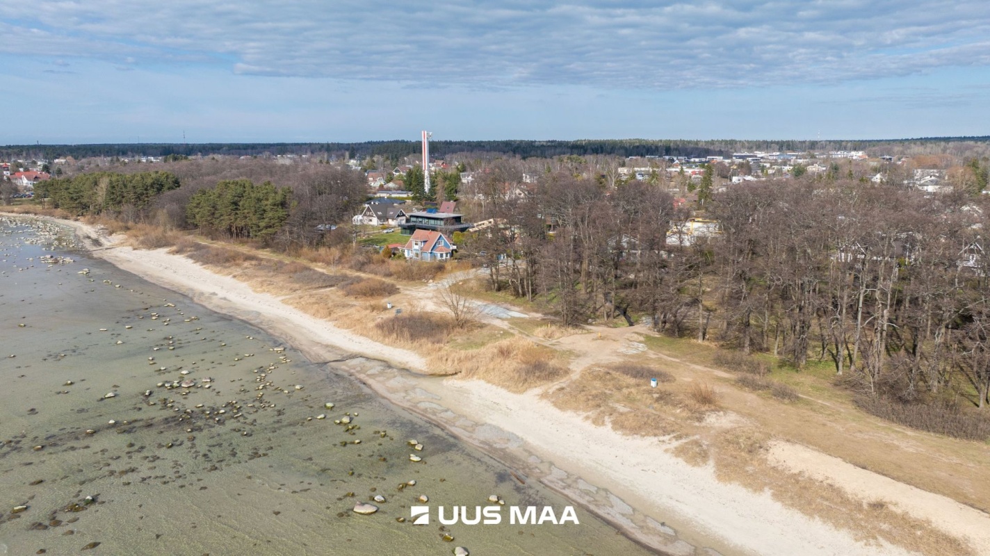 Viimsi vald, Haabneeme alevik, Vahtra tee