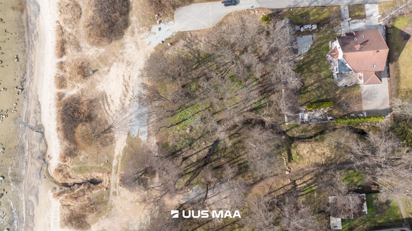 Viimsi vald, Haabneeme alevik, Vahtra tee