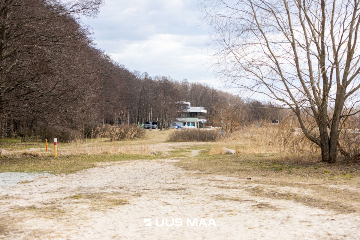 Viimsi vald, Haabneeme alevik, Vahtra tee