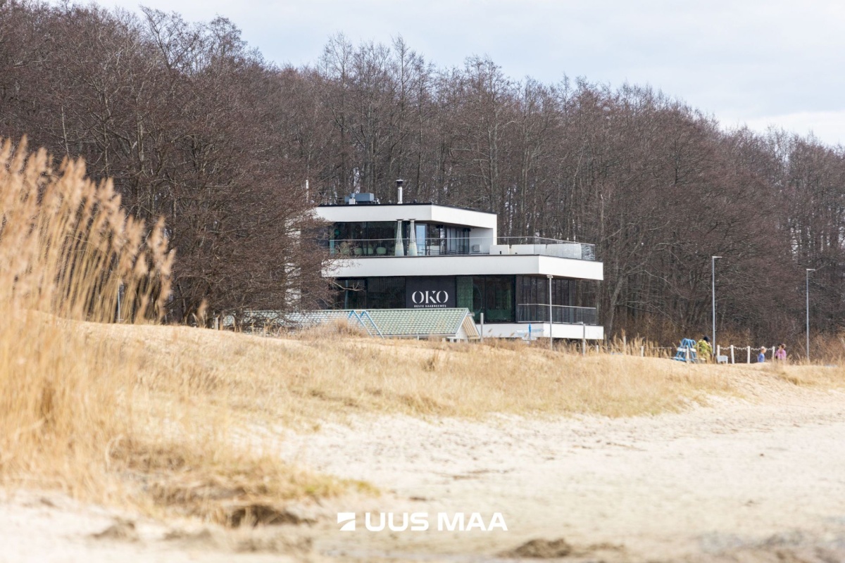 Viimsi vald, Haabneeme alevik, Vahtra tee