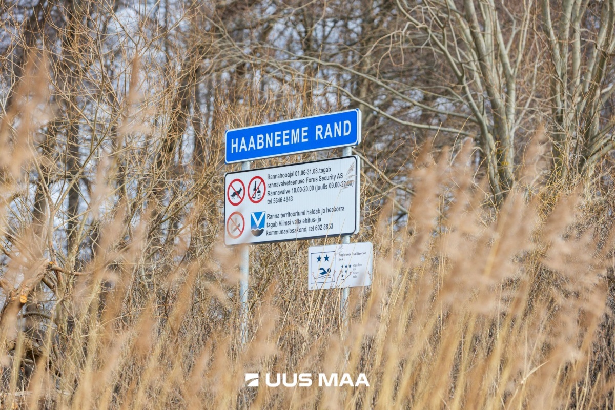 Viimsi vald, Haabneeme alevik, Vahtra tee