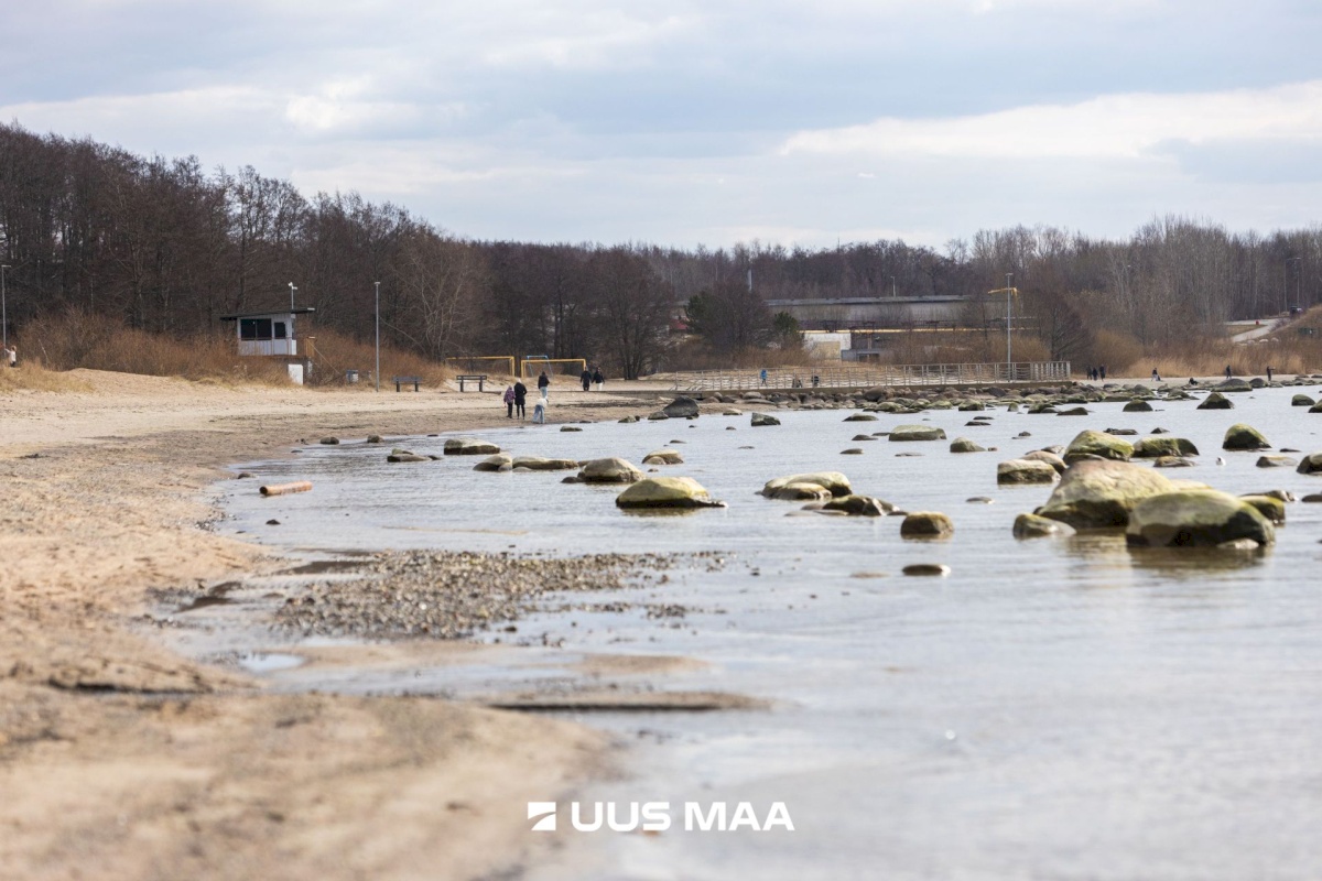 Viimsi vald, Haabneeme alevik, Vahtra tee