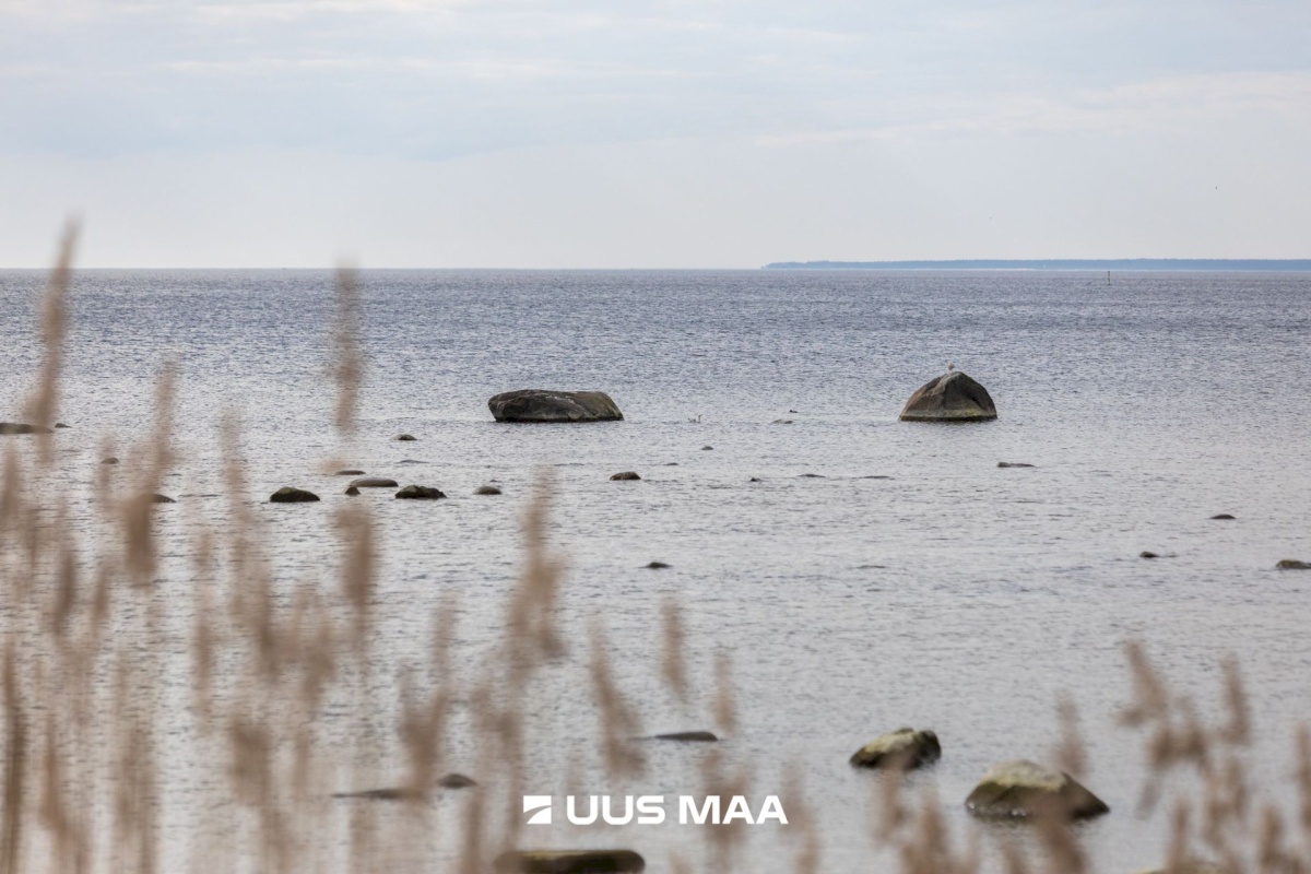 Viimsi vald, Haabneeme alevik, Vahtra tee