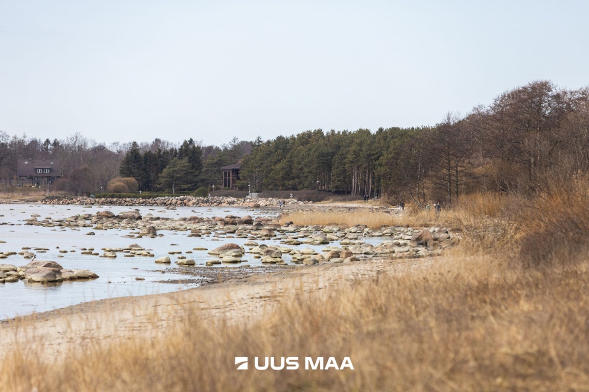 Viimsi vald, Haabneeme alevik, Vahtra tee