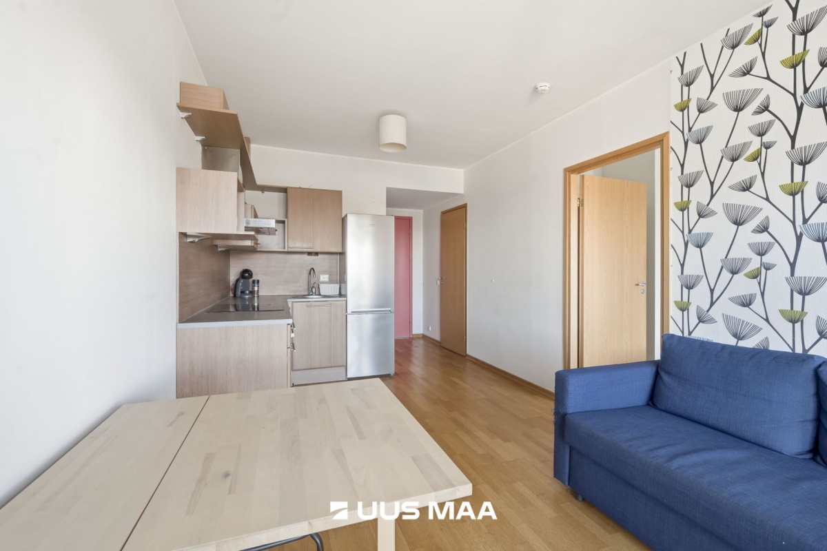 Tallinn, Kesklinna linnaosa, Jõe 7