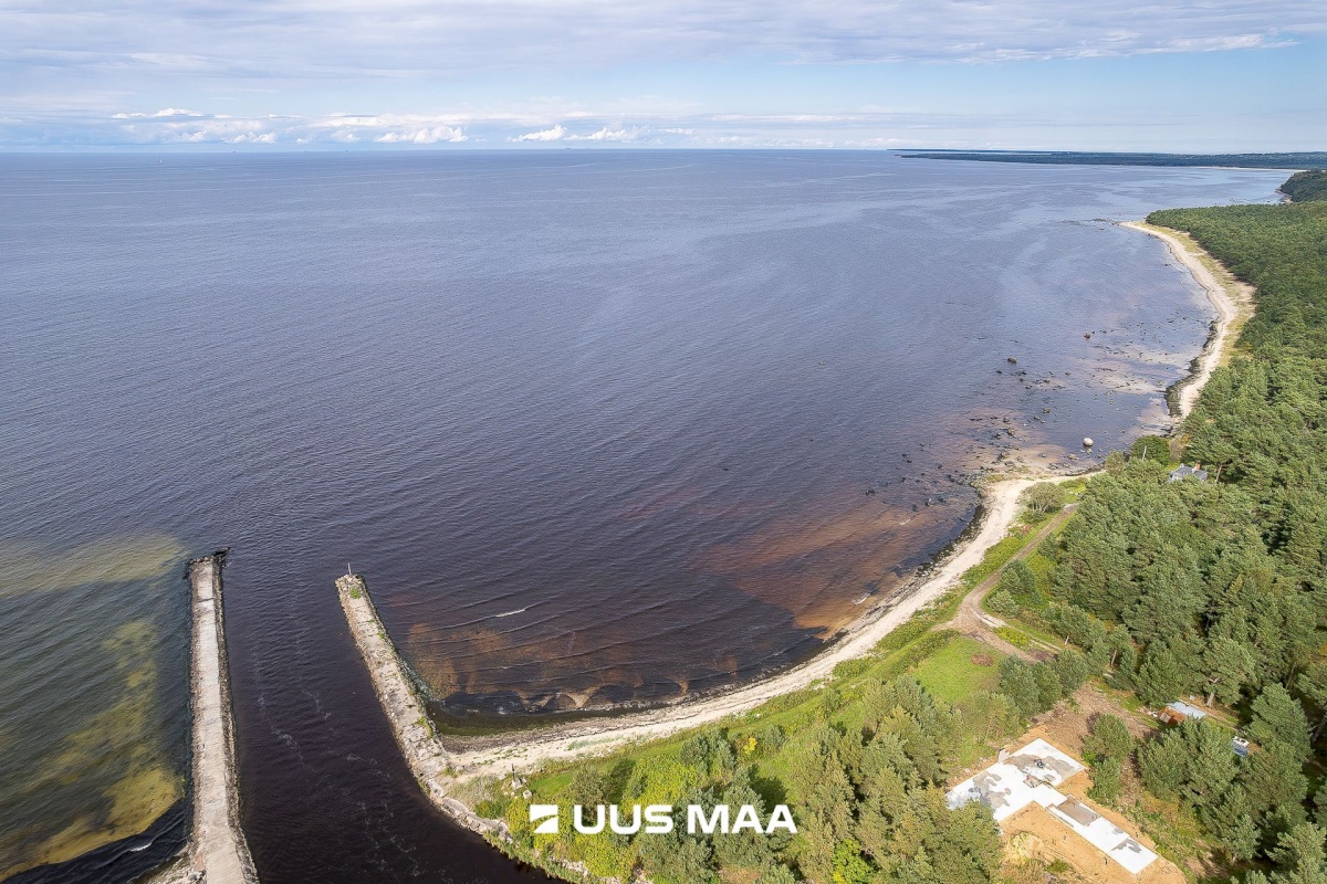 Lääne-Harju vald, Meremõisa küla, Merihobu tee 7