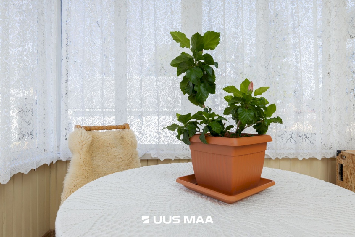 Raasiku vald, Aruküla alevik, Piiri tn 14