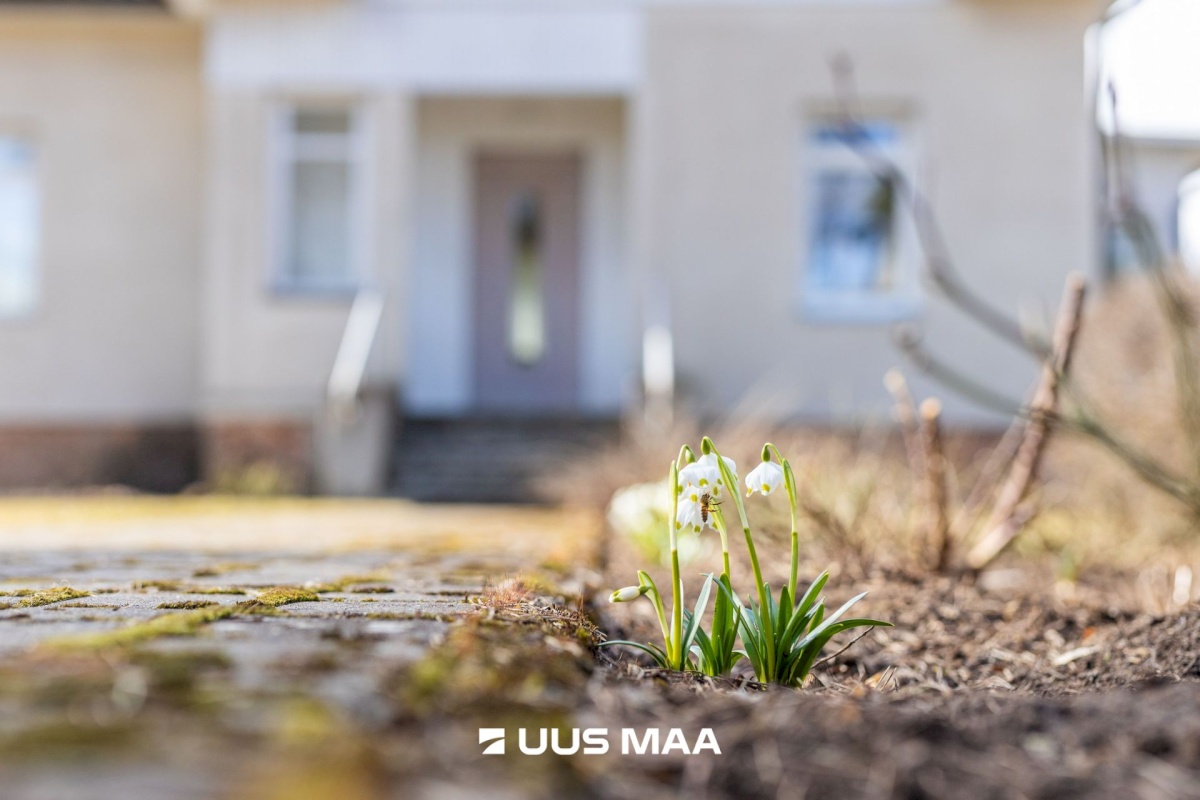 Raasiku vald, Aruküla alevik, Piiri tn 14