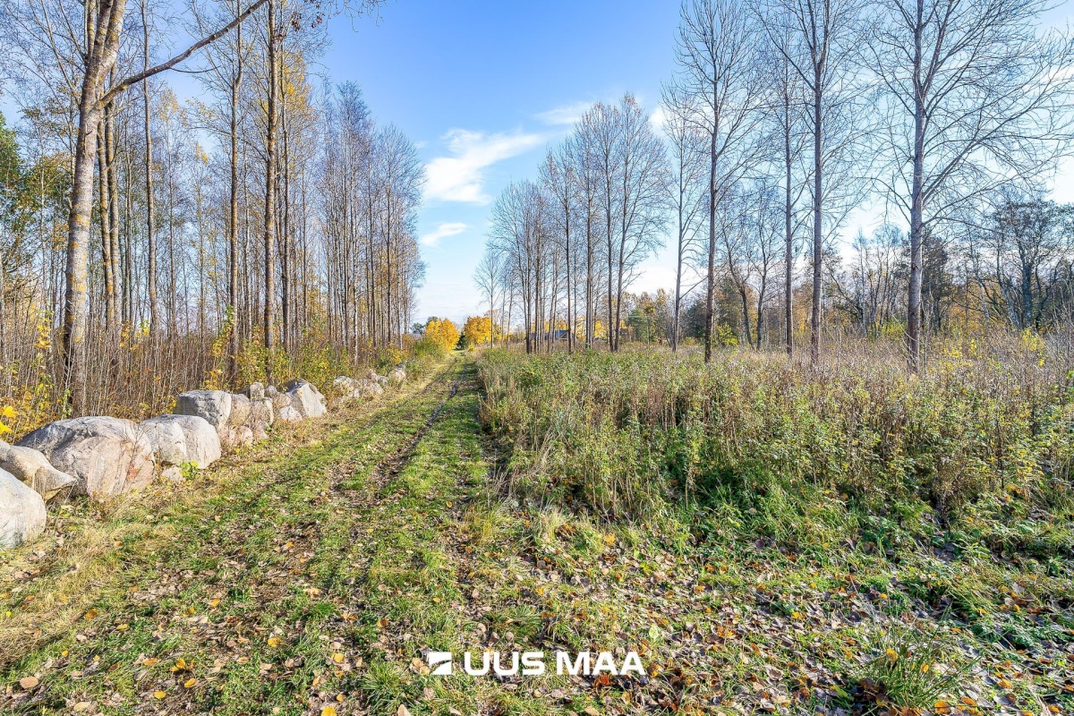 Jõelähtme vald, Ihasalu küla, Ihasalu tee 63