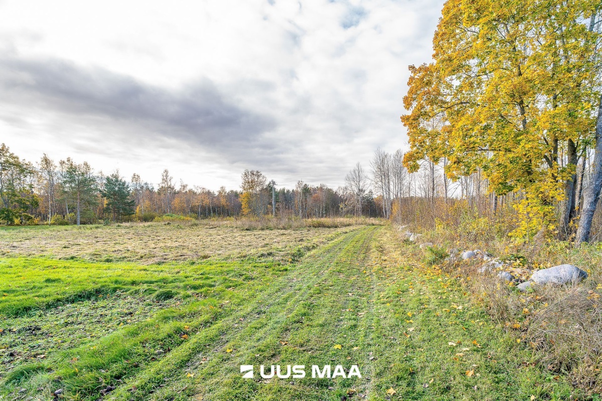 Jõelähtme vald, Ihasalu küla, Ihasalu tee 63