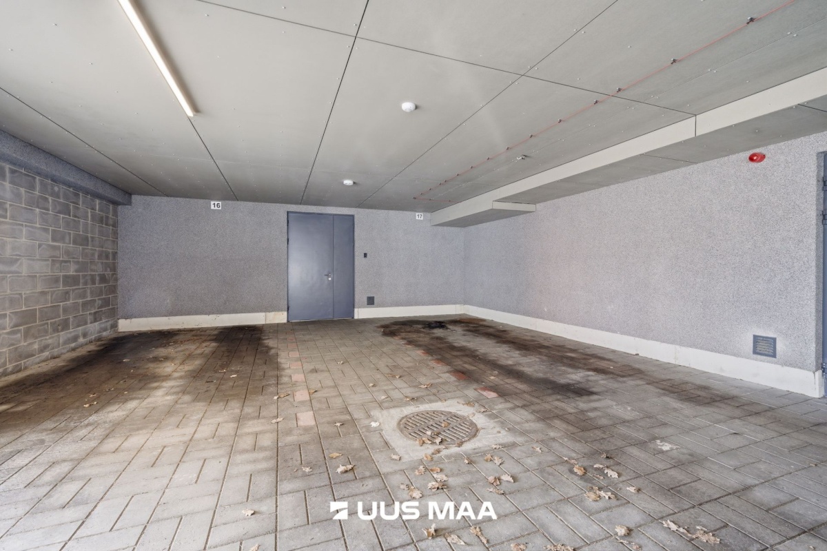 Saku vald, Saku alevik, Juubelitammede tee 15a