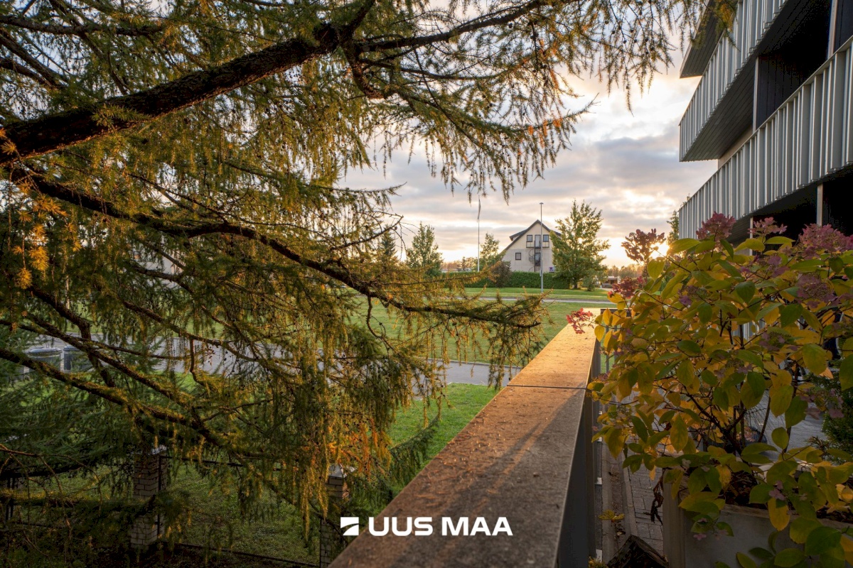 Saku vald, Saku alevik, Juubelitammede tee 15a