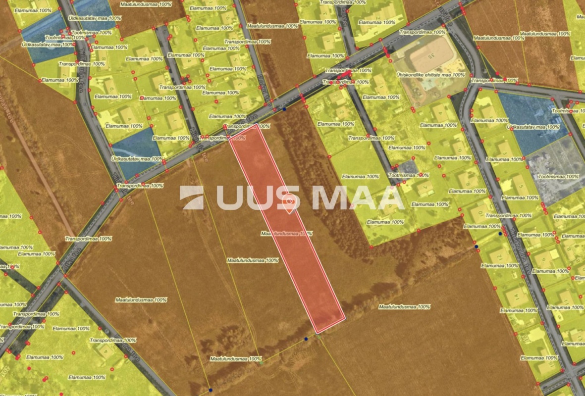 Saue vald, Alliku küla, Kraavikotka