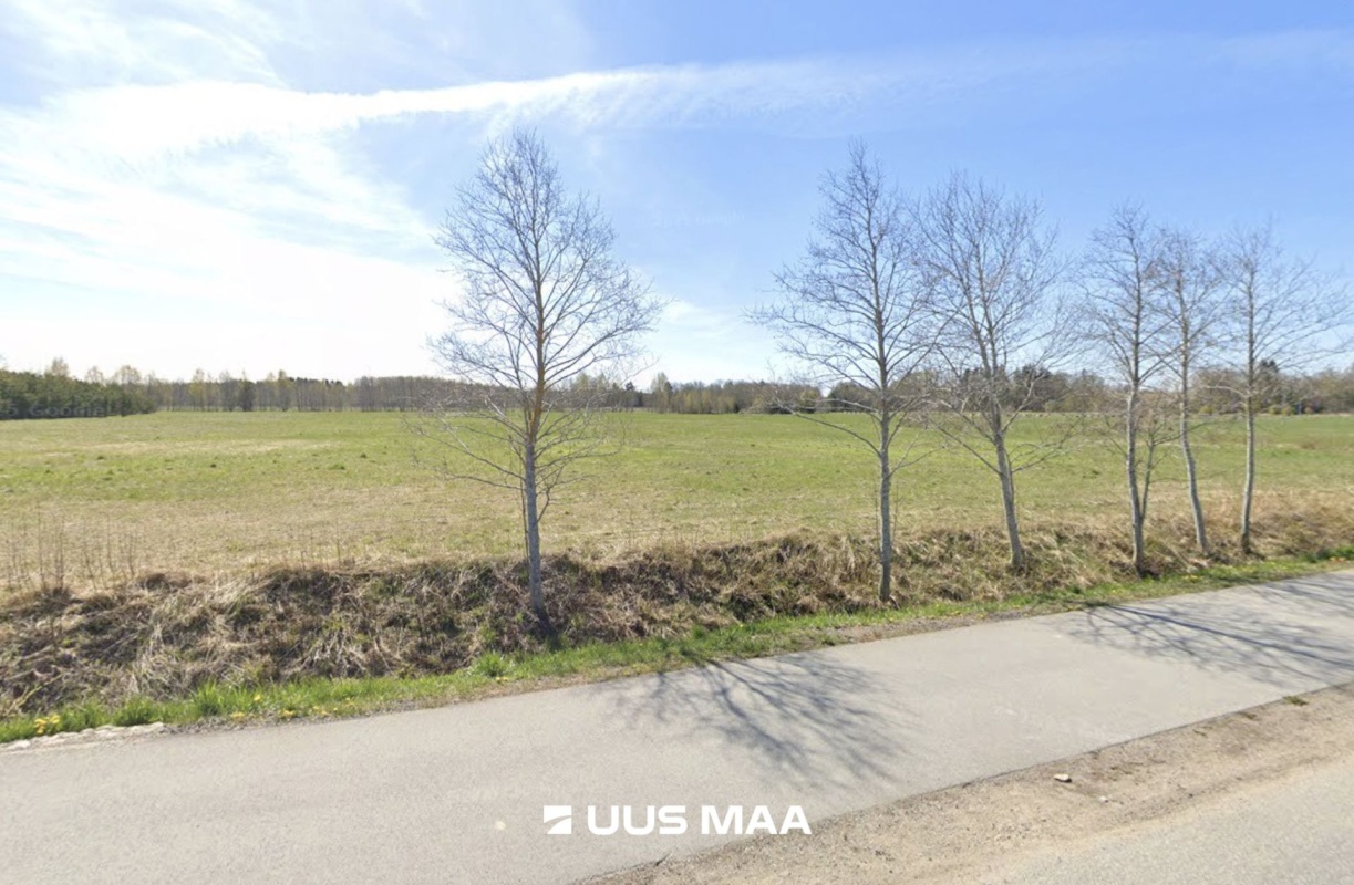 Saue vald, Alliku küla, Kraavikotka