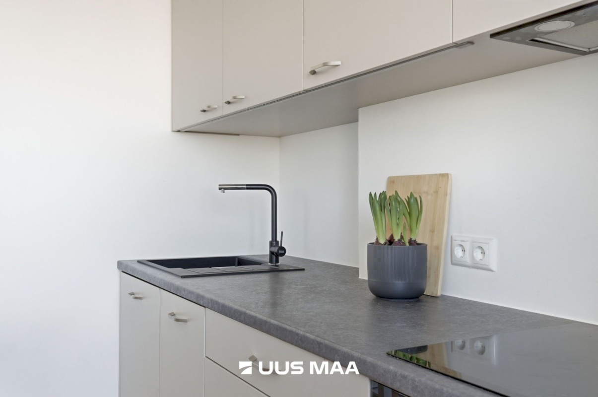 Tallinn, Mustamäe linnaosa, Sõpruse puiestee 196