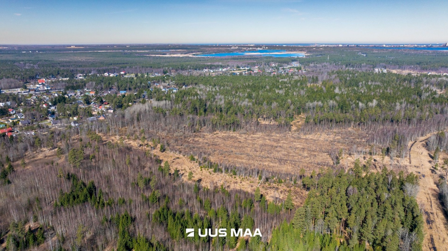 Kiili vald, Vaela küla, Tehnopargi tee 1