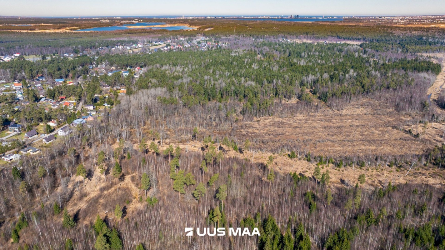 Kiili vald, Vaela küla, Tehnopargi tee 1