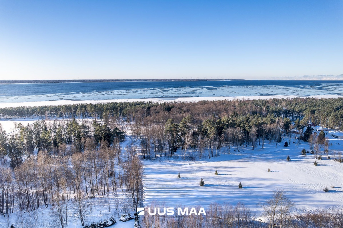 Lääne-Harju vald, Laulasmaa küla, Kuusiku 1