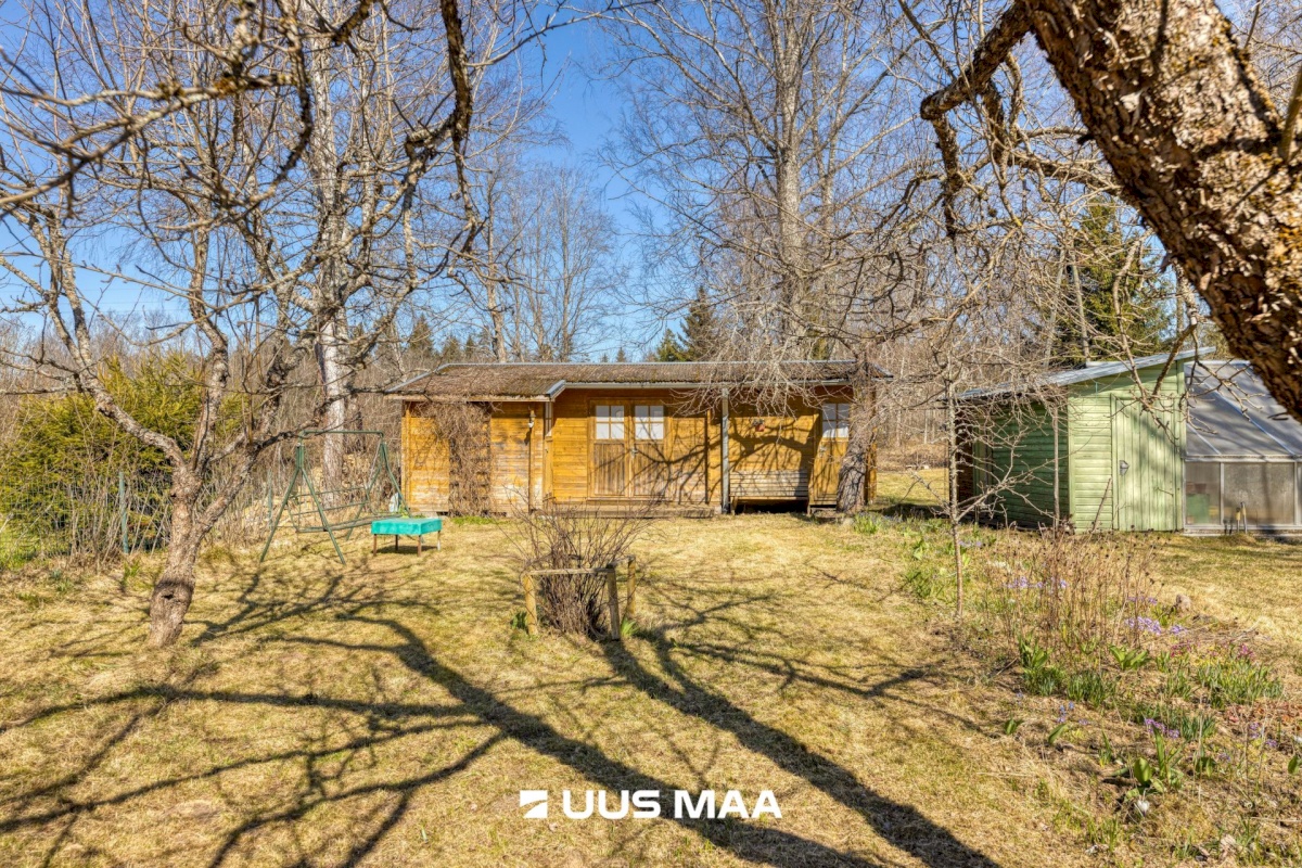 Rapla vald, Pirgu küla, Lohu tee 3