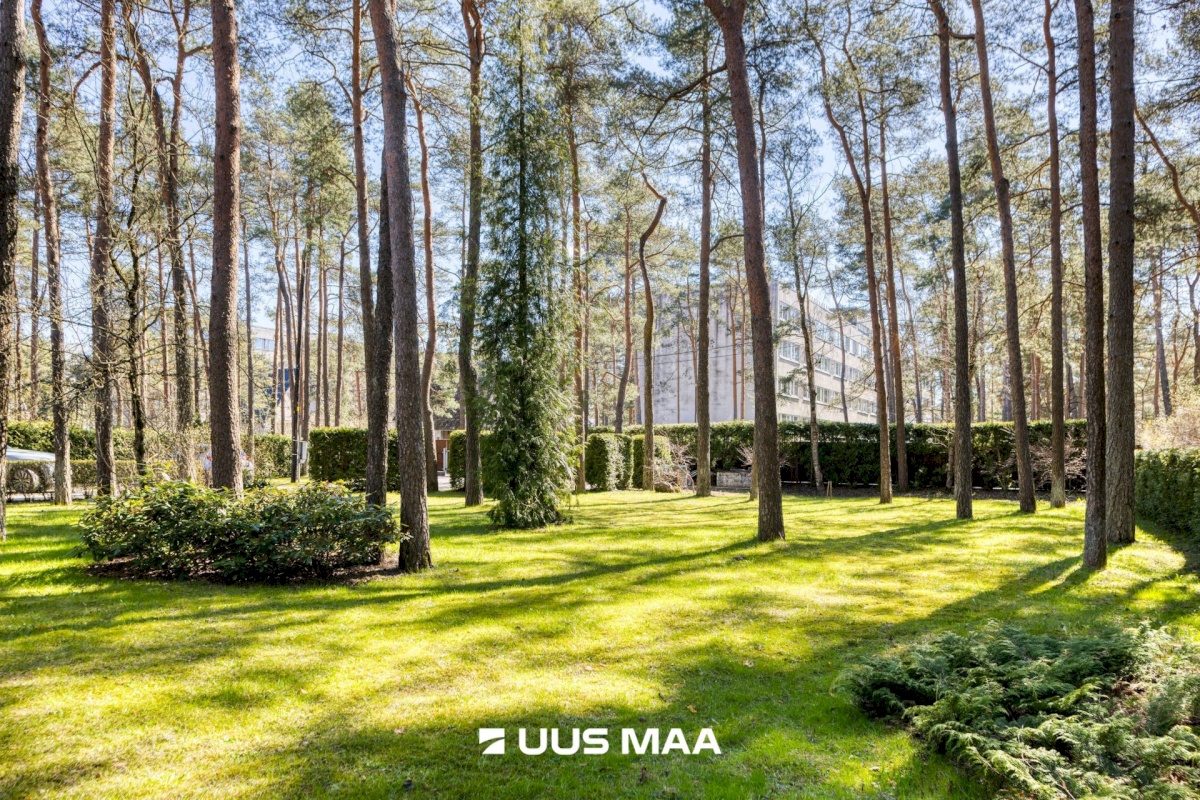 Tallinn, Nõmme linnaosa, Männiku, Valdeku 81