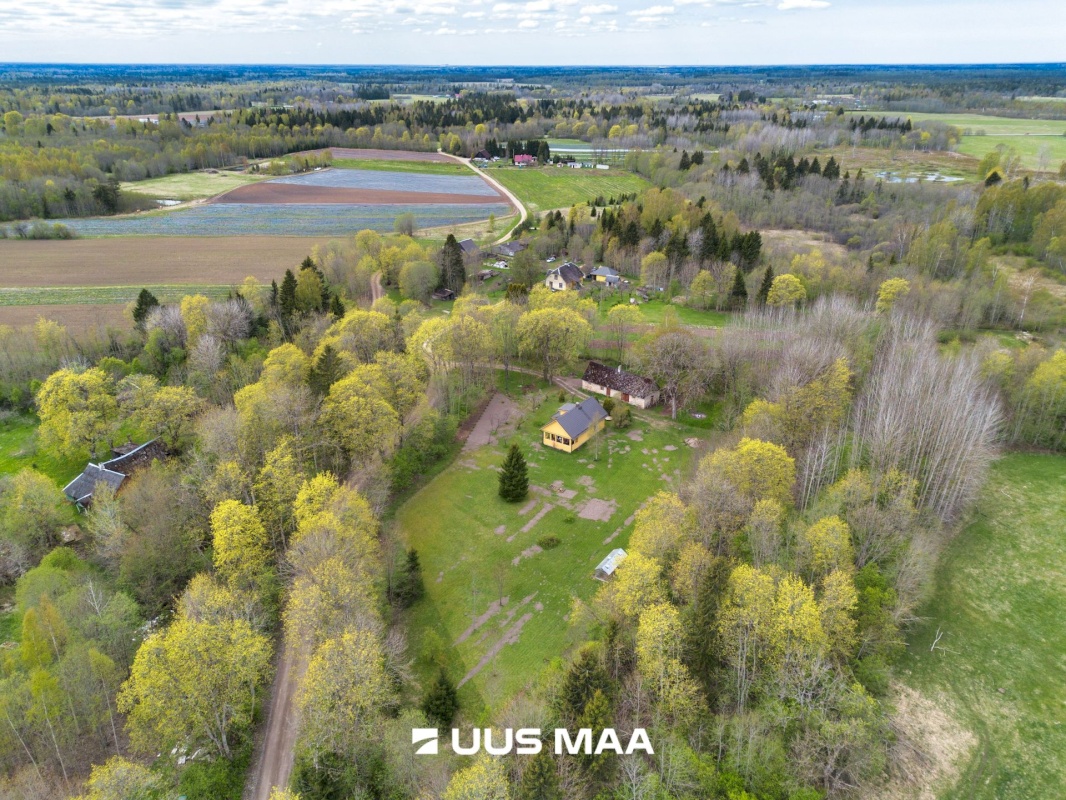 Saue vald, Tuula küla, Peni