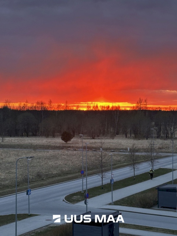 Tallinn, Haabersti linnaosa, Pikaliiva, Pikaliiva 18