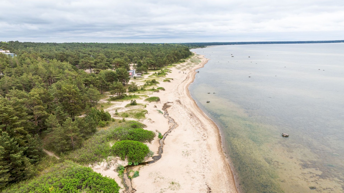 Lääne-Harju vald, Laulasmaa küla, Tooma vkt 38