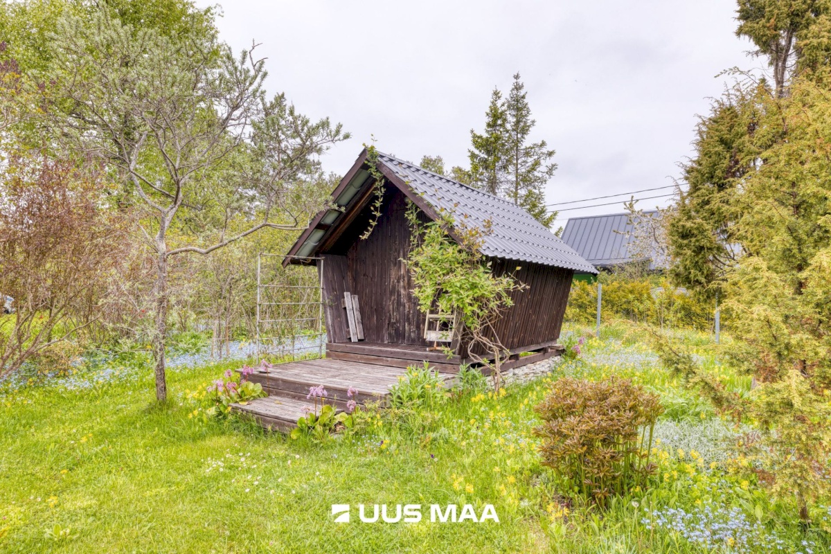 Lääne-Harju vald, Laulasmaa küla, Tooma vkt 37